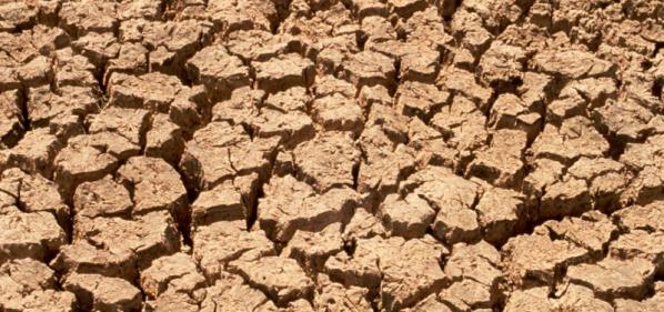 Ausgetrocknete Böden können vom Klimawandel her kommen.